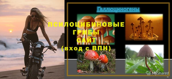 PSILOCYBIN Бугульма